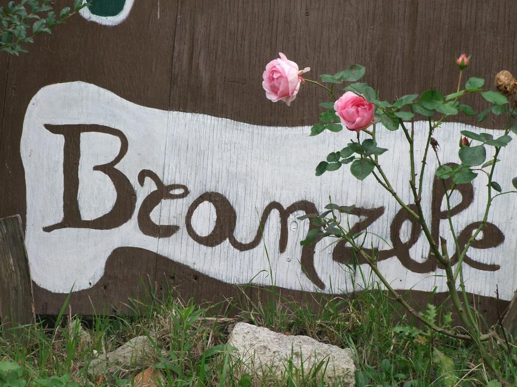 مبيت وإفطار Trezzo Tinella Casa Branzele المظهر الخارجي الصورة